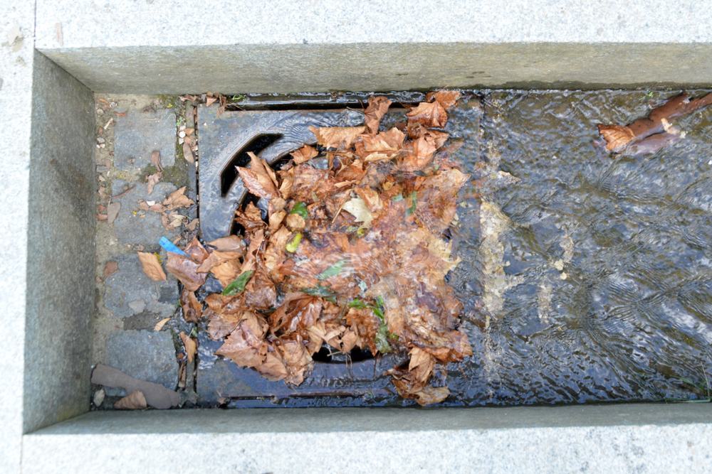 Landscaping tips that keep outdoor drains flowing
